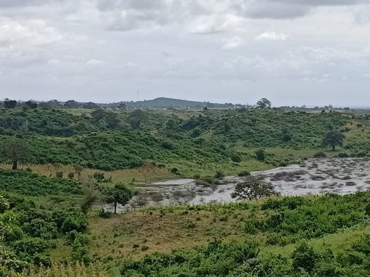 Pioneer Malindi Farm